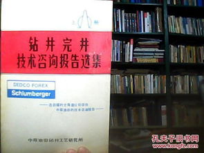 钻井完井技术咨询报告选集（上册） 核心技术与实践应用